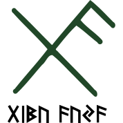 Viking rune